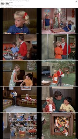 The Brady Bunch S01 DVDRip x264-NGP
