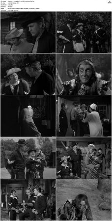 F-Troop S01 DVDRip XviD-cOOt