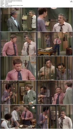Barney Miller S05 DVDRip x264-NGP