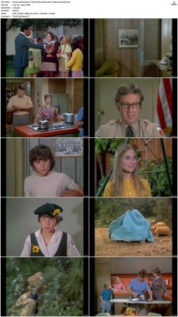 The Brady Bunch S02 DVDRip x264-NGP