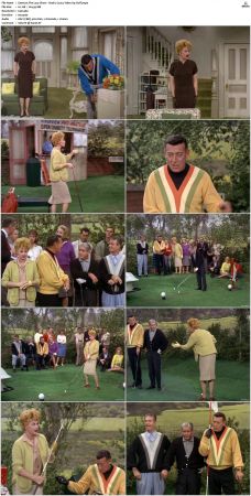 The Lucy Show S02 DVDRip x264-NGP