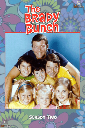 The Brady Bunch S02 DVDRip x264-NGP
