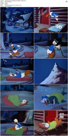 Wide Open Spaces 1947 DVDRip x264-HANDJOB
