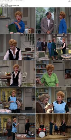 The Lucy Show S02 DVDRip x264-NGP