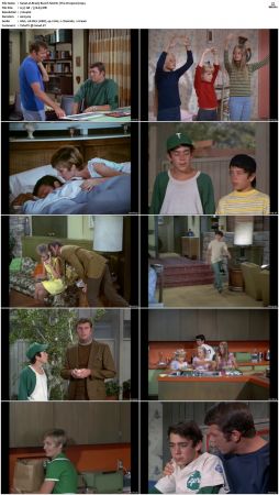 The Brady Bunch S02 DVDRip x264-NGP