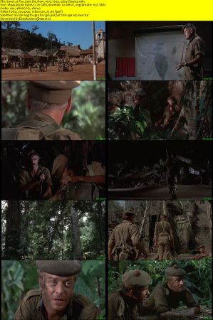 Too Late the Hero 1970 720p x264-Classics