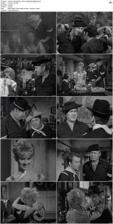 F-Troop S01 DVDRip XviD-cOOt