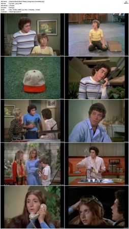 The Brady Bunch S04 DVDRip x264-NGP