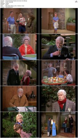 The Brady Bunch S04 DVDRip x264-NGP