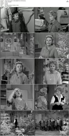 The Lucy Show S01 DVDRip x264-NGP
