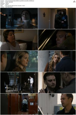 Sneaky Pete S01 NORDiC 720p WEB-DL H 265 DDP5.1-CiNEMiX