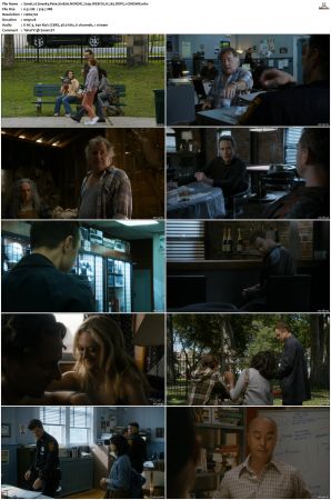 Sneaky Pete S01 NORDiC 720p WEB-DL H 265 DDP5.1-CiNEMiX