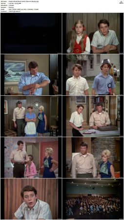 The Brady Bunch S01 DVDRip x264-NGP