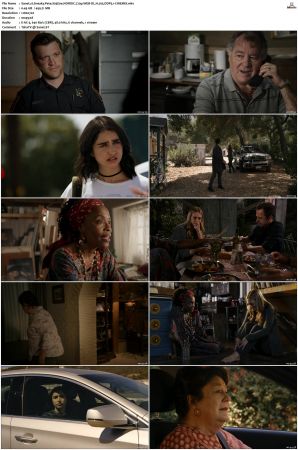 Sneaky Pete S03 NORDiC 720p WEB-DL H 265 DDP5 1-CiNEMiX