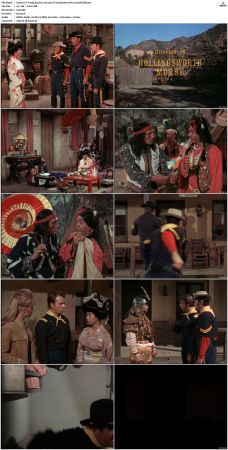 F-Troop S02 DVDRip XviD-cOOt