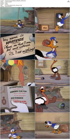 Donalds Ostrich 1937 DVDRip x264-HANDJOB