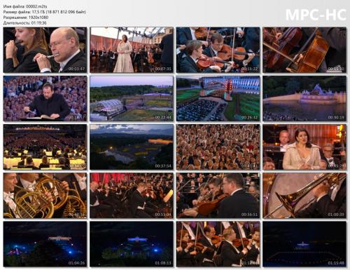 Sommernachtskonzert / Summer Night Concert 2024 (2024) Blu-ray