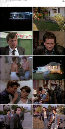 21 Jump Street S01 S05 WEB-DL H 264-JiTB