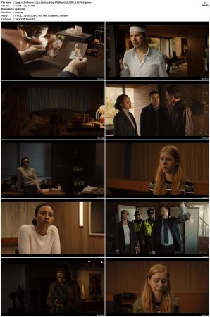 Professor T 2021 S01 S03 1080p WEBRip 10Bit DDP2 0 HEVC-d3g