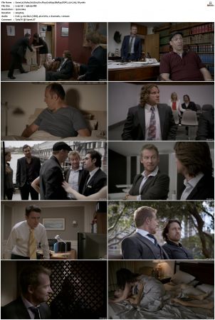 Rake S01 S05 1080p BluRay DDP 2 0 x265-iVy
