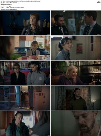 Harry Wild 2022 S01 S03 720p WEB-DL HEVC x265 BONE