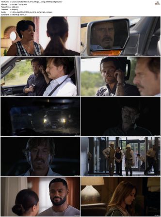 Walker S01 S04 WEBRip EAC3 5 1 1080p x265-iVy