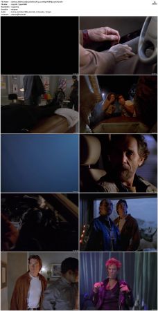 Sliders S01-S05 1080p WEBRip EAC3 2.0 x265-iVy