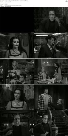 The Munsters 1964 S01 S02 DVDRip MPEG-NGP
