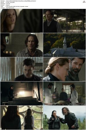 Helix S01 S02 WEBRip EAC3 5 1 1080p x265-iVy