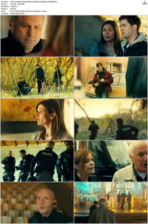 Flashpoint S01-S05 SUPER-PACK 720p BluRay x265-BMF