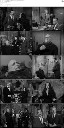 The Addams Family 1964 S01 S02 DVDRip X264-NGP