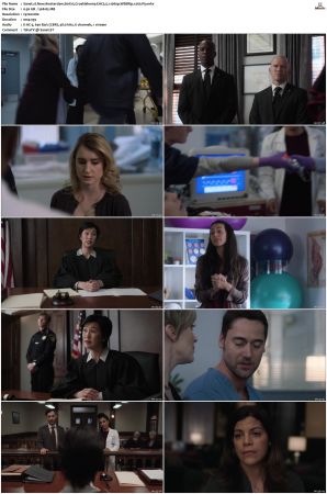New Amsterdam S01 S05 WEBRip EAC3 5 1 1080p x265-iVy