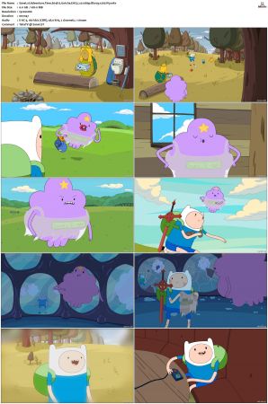 Adventure Time 2008 S01-S10 + Fionna and Cake 1080p Bluray EAC3 2.0 x265-iVy