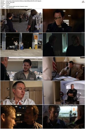 Sons of Anarchy S01 S07 SUPER-PACK 1080p WEBRip 10Bit DDP5 1 HEVC-d3g