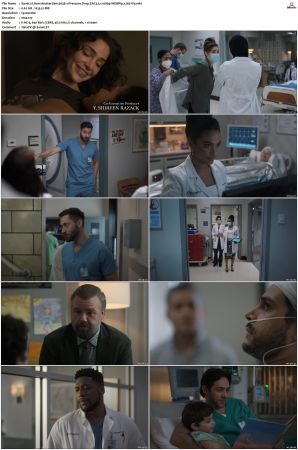 New Amsterdam 2018 S01-S05 1080p WEBRip EAC3 5.1 x265-iVy