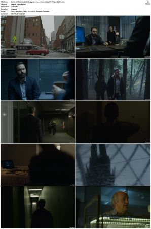 Absentia S01 S03 SUPER-PACK WEBRip EAC3 5 1 1080p x265-iVy