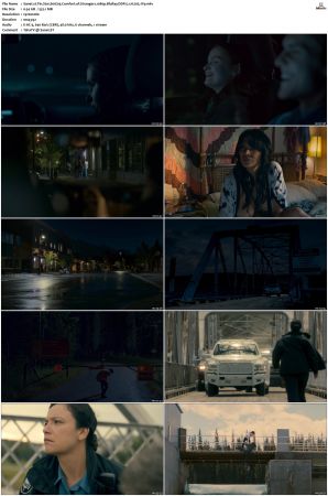 Tin Star S01 S03 1080p BluRay DDP 5 1 x265-iVy
