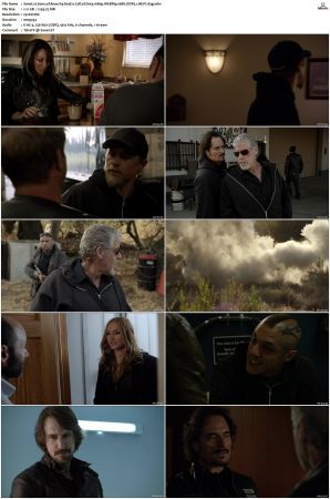 Sons of Anarchy S01-S07 SUPER-PACK 1080p WEBRip 10Bit DDP5.1 HEVC-d3g