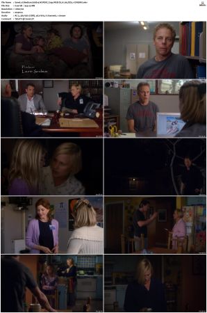 Medium S06 NORDiC 720p WEB-DL H 265 DD5 1-CiNEMiX