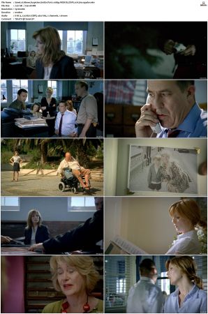 Above Suspicion S01 S04 SUPER-PACK 1080p WEB-DL DDP2 0 H264-squalor