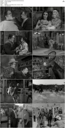 The Munsters 1964 S01 S02 DVDRip MPEG-NGP