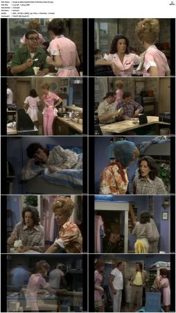 Alice S01-S09 480p DVDRip AAC2.0 x264-NGP