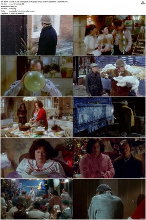 The Darling Buds of May 1991 S01 S03 720p WEB-DL HEVC x265 BONE