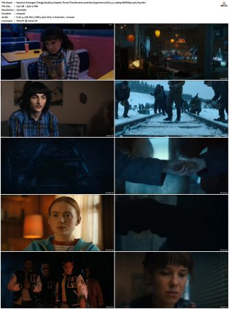 Stranger Things S01 S04 WEBRip EAC3 5 1 1080p x265-iVy