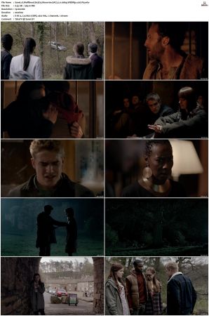 Wolfblood S01-S05 1080p WEBRip EAC3 2.0 x265-iVy