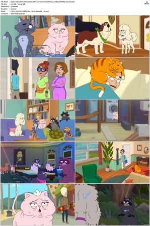 HouseBroken S01 S02 WEBRip EAC3 5 1 1080p x265-iVy