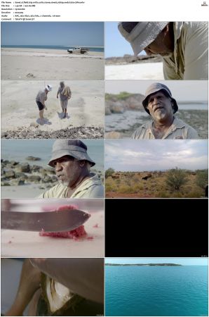 Field Trip With Curtis Stone S01 1080p WEB H264-CBFM