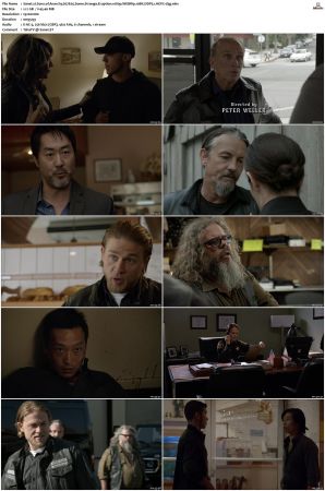 Sons of Anarchy S01-S07 SUPER-PACK 1080p WEBRip 10Bit DDP5.1 HEVC-d3g