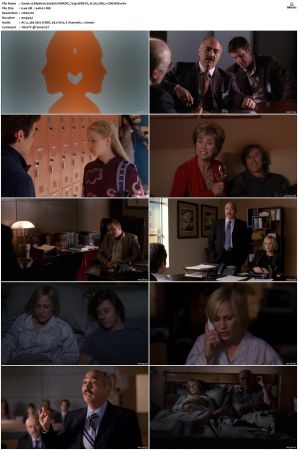 Medium S04 NORDiC 720p WEB-DL H 265 DD5.1-CiNEMiX