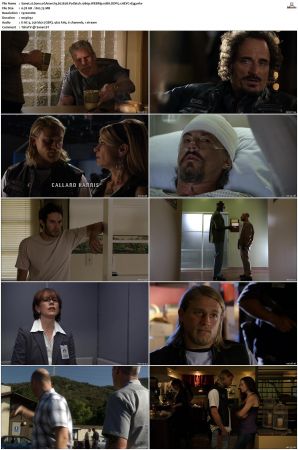 Sons of Anarchy S01 S07 SUPER-PACK 1080p WEBRip 10Bit DDP5 1 HEVC-d3g